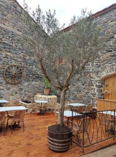 Auberge de la Loue - Vodable - 8