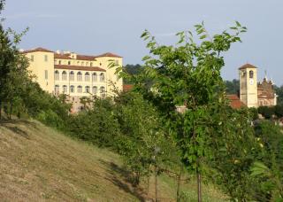 A CASA DI CARLA B&B - San Raffaele Cimena - 5