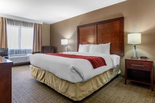 Comfort Inn & Suites Leeds I-20 - Leeds - 8