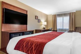 Comfort Inn & Suites Leeds I-20 - Leeds - 7