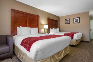 Comfort Inn & Suites Leeds I-20 - Leeds - 3