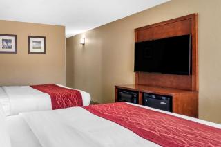 Comfort Inn & Suites Leeds I-20 - Leeds - 2