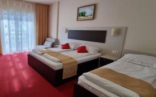 HOTEL CARPATHIA - Remeţi - 3