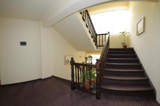 HOTEL CARPATHIA - Remeţi - 2