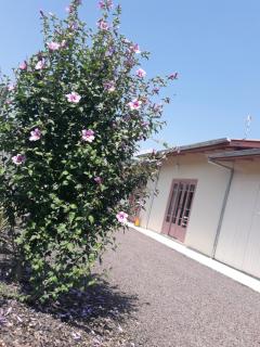 Casa de Temporada Sítio Viva Serra - Urubici - 7