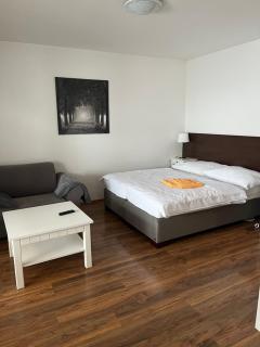 Apartman Viktoria 5 - Ružomberok - 5