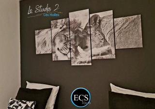 "Le Safari" - 2 lits - Au cœur du Vieux Tours - Tours - 3