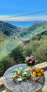 Foglie d'Argento - Moneglia - 1