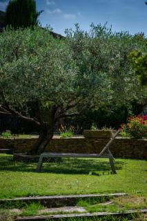 Le mas d'Orsan chambres d'hôtes - 5