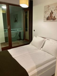 Silver Luxury 6 - Poiana Brasov - 4