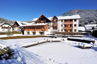 Hotel Naggler Weissbriach - 5