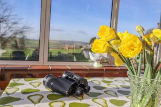 Orchard Cottage - Ashendon - 1