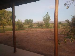Quinta Las Marías - Cabañas - San José de Jáchal - 9