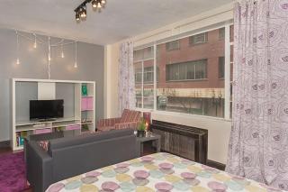 Downtown Studio Apt, Lots Of Natural Light - 4