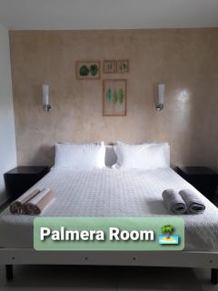 Casa Linda Isla-Room Palmera-Shared Pool - Isla Mujeres - 9