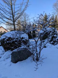 Ferienwohnungen Schönherr - 9