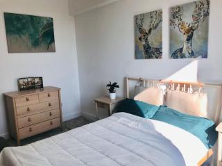 Cosy 2 Bedroom Flat in Edinburgh - 1