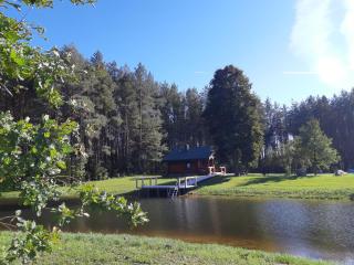 Pušų Šlamesy - Vilnius - 6