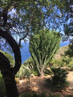 Baglio La Luna - B&B - San Vito lo Capo - 7