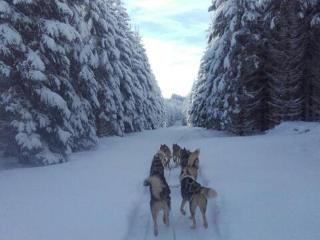 Grand studio 6 pers. Super Besse, Résidence *** - 6