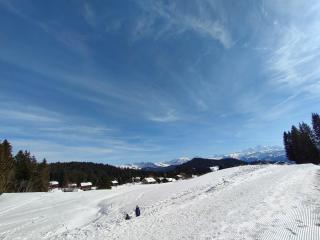Studio au pied des pistes- Le Praz de Lys - Taninges - 4