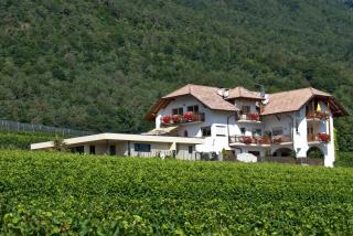 Plattenriegelhof - Appiano sulla Strada del Vino - 4