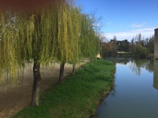 Les Angelots - 5