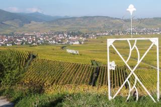 Chez Delphine - Ammerschwihr - 0