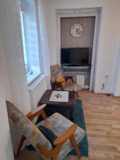 Charming house "Luisi" in green garden Maribor 75m2 - Maribor - 8