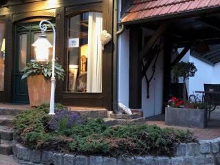 Landhaus Lindenbusch - Weseke - 4