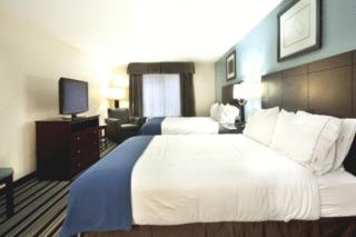 Holiday Inn Express Hotel & Suites Baton Rouge -Port Allen by IHG - Port Allen - 8