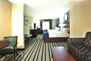 Holiday Inn Express Hotel & Suites Baton Rouge -Port Allen by IHG - 3