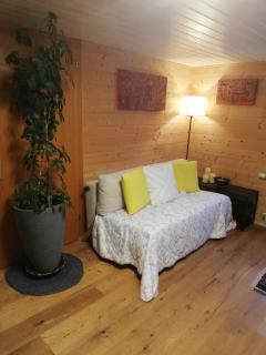 Gemütliche Wohnung in Einfamilienhaus - Alberschwende - 5