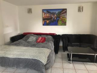 Entre ville & campagne (jardin avec rivière) - Plobsheim - 4