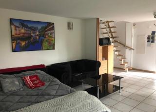 Entre ville & campagne (jardin avec rivière) - Plobsheim - 5