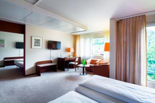 Ramada by Wyndham Baden Hotel du Parc - Baden - 9