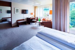 Ramada by Wyndham Baden Hotel du Parc - 7