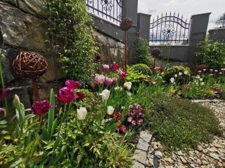 Kryształowy Apartament z pięknym ogrodem w centrum uzdrowiska - 6