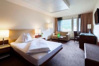 Ramada by Wyndham Baden Hotel du Parc - Baden - 6