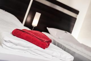 SKYHOTEL Merseburg - Merseburg - 8