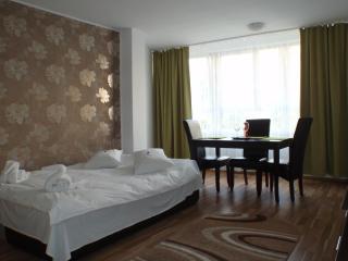 ApartHotel Zorilor - Cluj-Napoca - 3