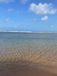 Apartamento 3/4 maravilhoso no Village das Acácias - 1