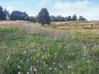 4 person holiday home in KYRKESUND-By Traum - 3