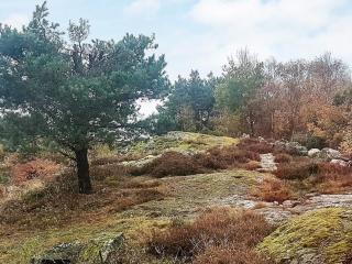 4 person holiday home in KYRKESUND-By Traum - 2