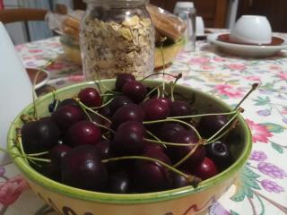 A CASA DI CARLA B&B - San Raffaele Cimena - 6