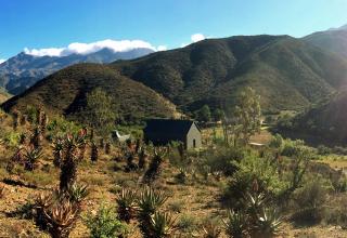 The Old School House - 9