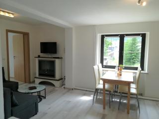 Ferienwohnung Jump INN - Oberwiesenthal - 9
