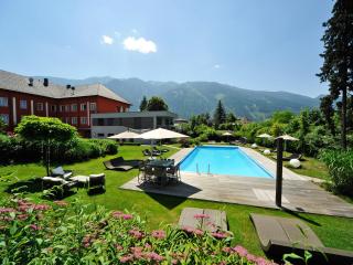 Hotel Ertl & mexican cantina salud - Spittal an der Drau - 0