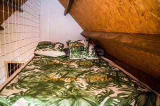 Chalet des Hauts- Vue piton-8pers - By Sister Home - Le Tampon - 3