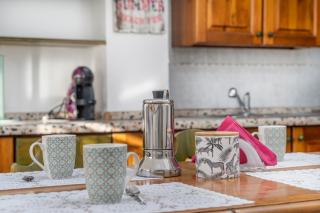 Penthouse Central apartments vista Monte Priesnig - Tarvisio - 2
